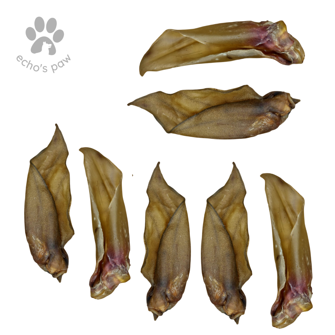 Buffalo Ears (7 pack)